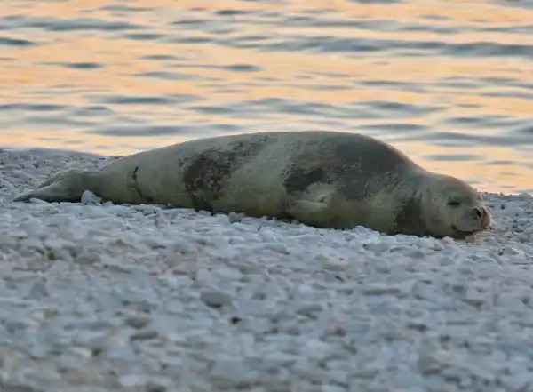 2025073118473671.webp 2.webp