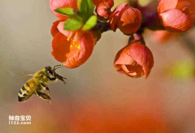 2023060559056011.jpg 2.jpg