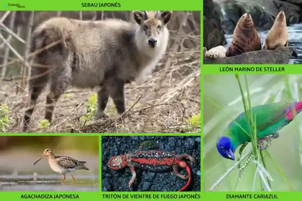 2025082641463922.webp 15.webp