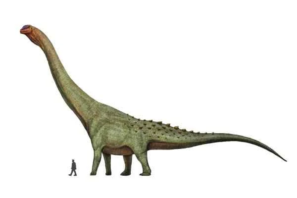 Dinosaurios in Argentina - Patagotitan mayorum
