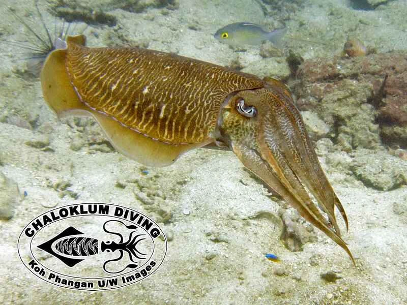 2024111747083534.jpg 33.jpg