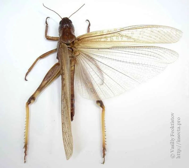 2025011312993711.jpg 55.jpg