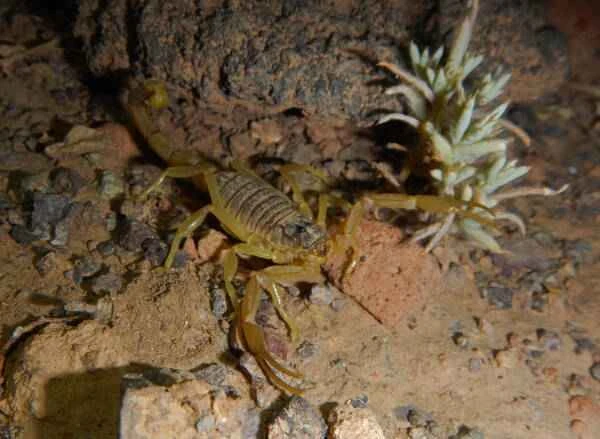 2023110616137944.jpeg 2(1).jpeg