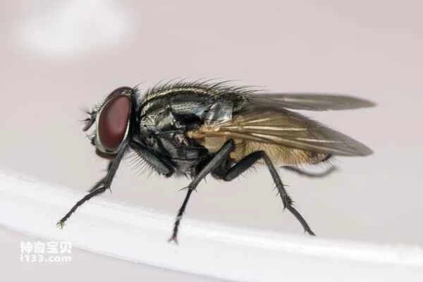 2024060429708462.jpg 7.jpg