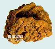 Classification and distribution of sponges