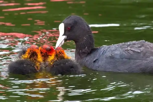 2025073119108394.webp 4.webp