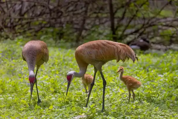 2025123120415771.webp 8.webp