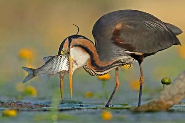 2023090837724613.jpeg 4(1).jpeg