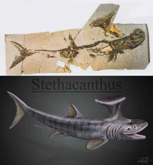 2024041215772241.jpeg 22.jpeg