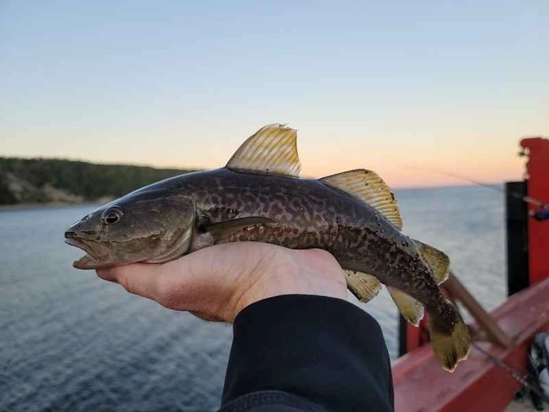 2025022719654077.jpeg 33.jpeg