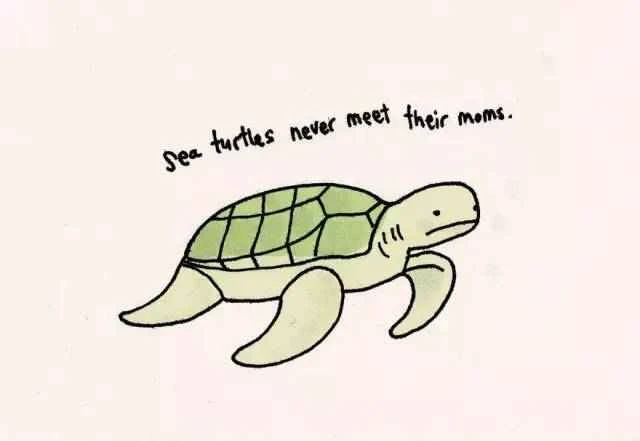 2023011918421414.jpg 4.jpg