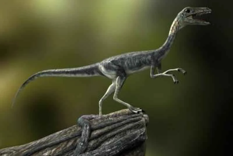 A Roundup of Bizarre Dinosaurs: Ten Dinosaurs with Strange Bodies