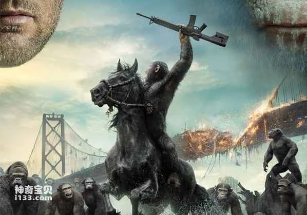 Can gorillas really talk like humans?