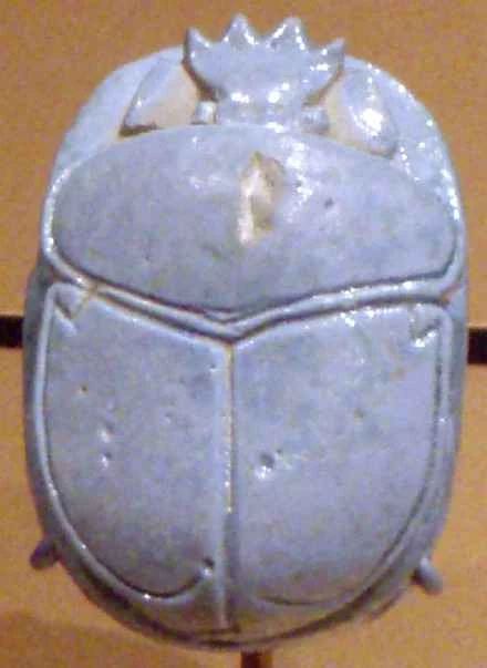 Detailed information and habits of scarab beetles (detailed introduction)