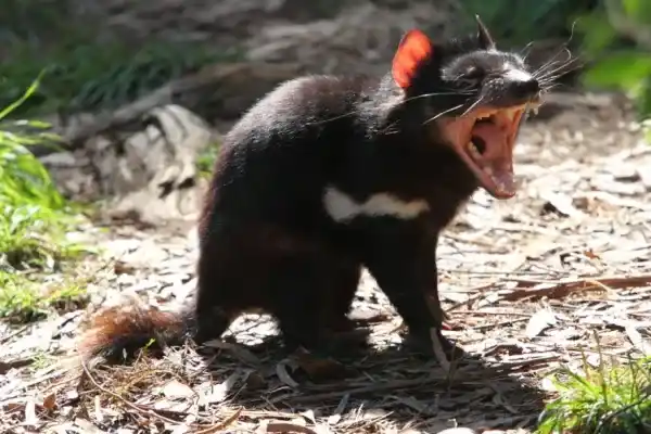 2025073016610031.webp 4.webp