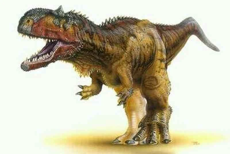 Eight dinosaurs with horns on their heads - What kinds of dinosaurs had horns on their heads?