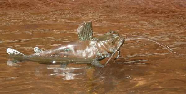 2024111449587877.jpg 3.jpg