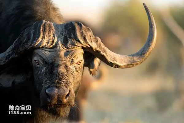 2024080769026174.jpg 9.jpg