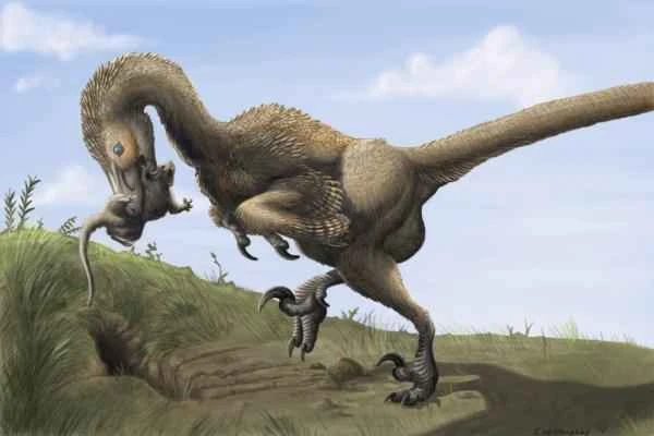 Dinosaurios encontrados en España - Dromaeosauridae