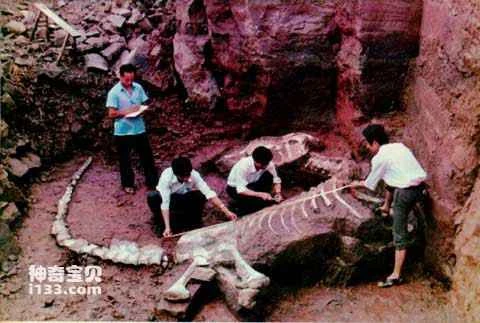 The extinction, survival, and evolution of dinosaurs