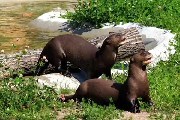 2025091516637819.webp 3.webp