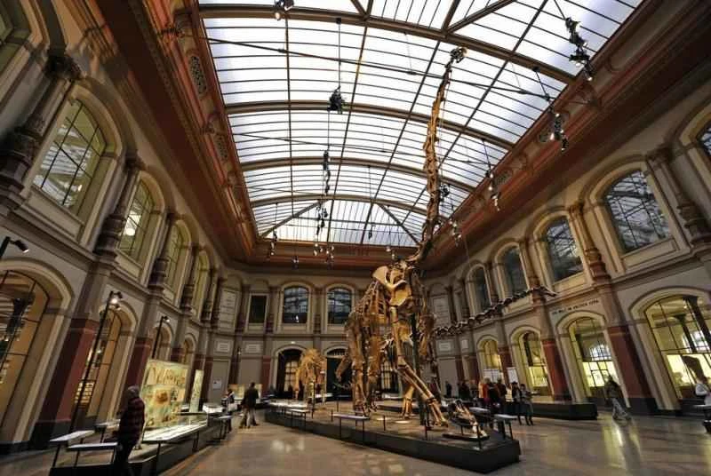 The world's best dinosaur history museum