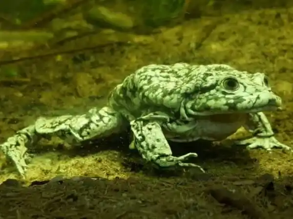 2025091833161242.webp 17.webp