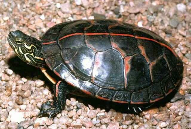 2023051114630522.jpg 1010.jpg