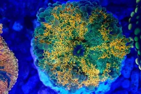 2023121512451981.jpeg 8.jpeg