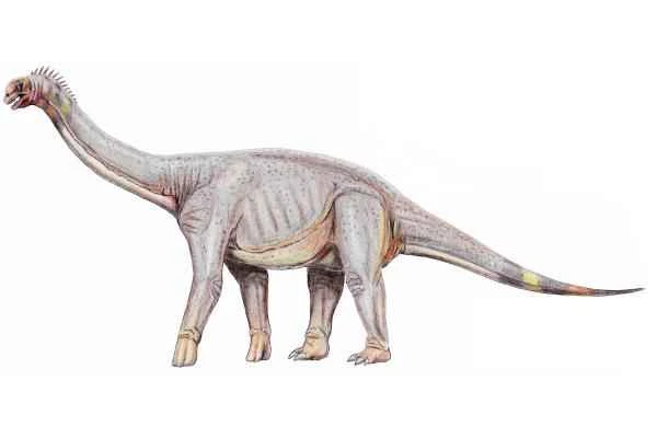 Dinosaurios encontrados en España - Astrodon johnstoni