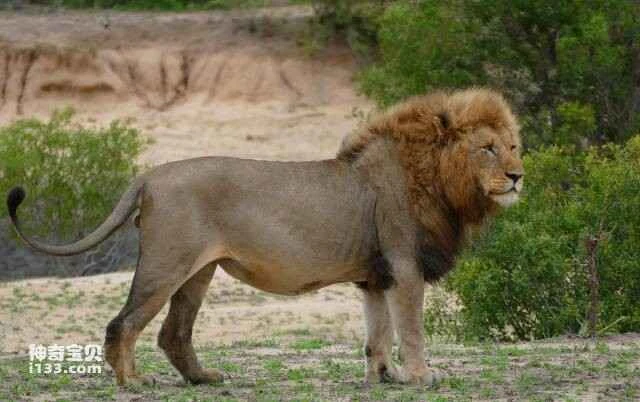 2023060113940869.jpg 16.jpg