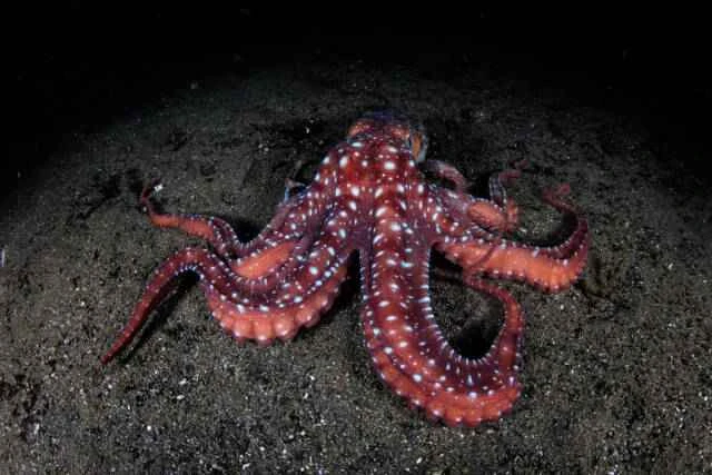 4 上午8.08.20(1).jpeg