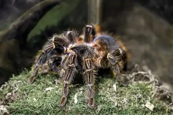 2026010639191671.webp 11.webp