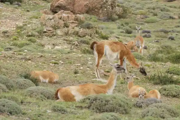 2025071711875221.webp 2.webp