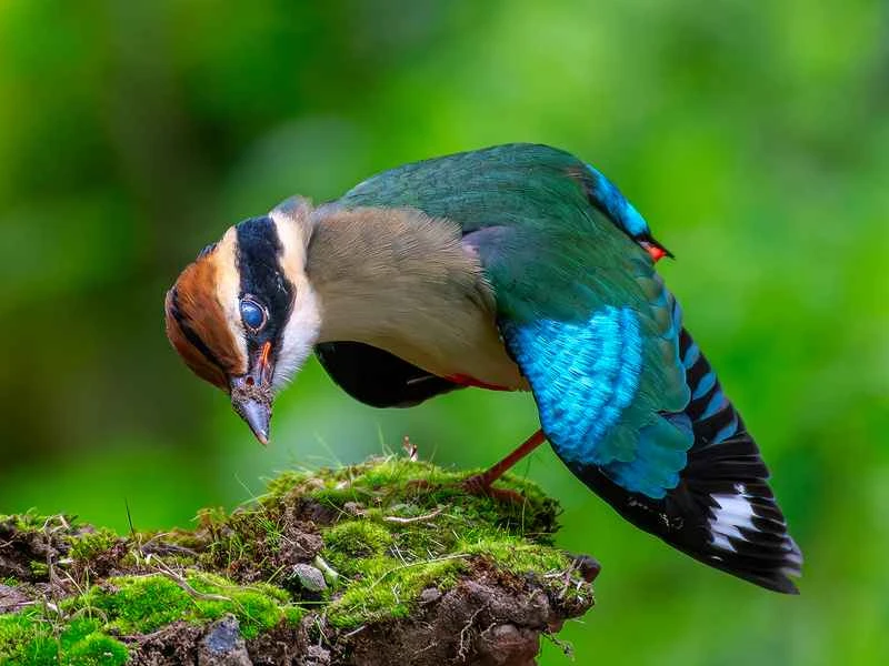 2025031020137748.jpg 123.jpg