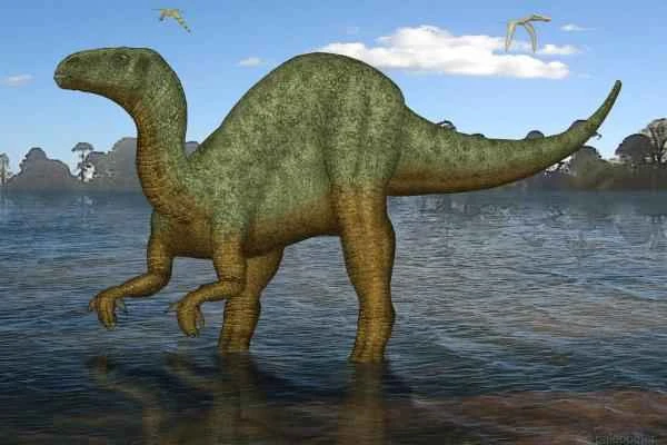 Dinosaurios encontrados en España - Iguanodon spp.