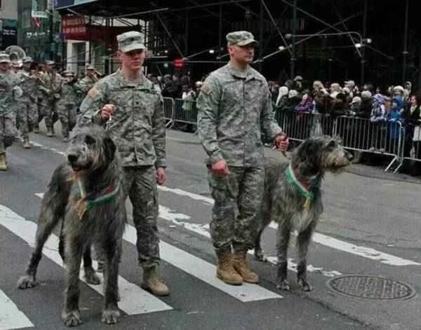 2022121528187766.jpg 2_九雷图片转换器.jpg