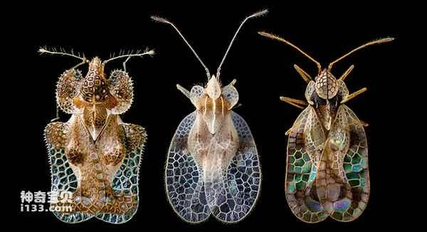 2024042522192834.jpg 9.jpg