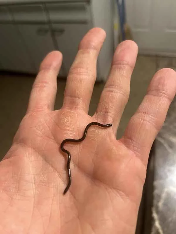 2024102715113944.jpeg 2.jpeg