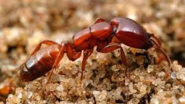 2024101716221016.jpeg 2.jpeg