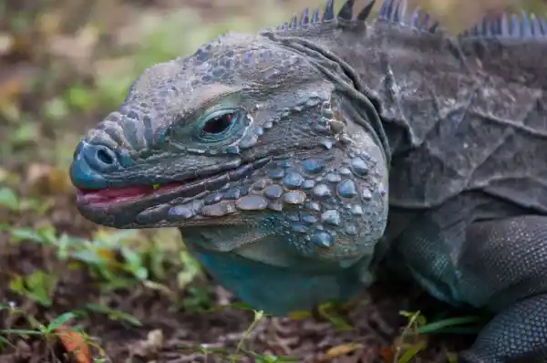 2025072817711685.webp 2.webp