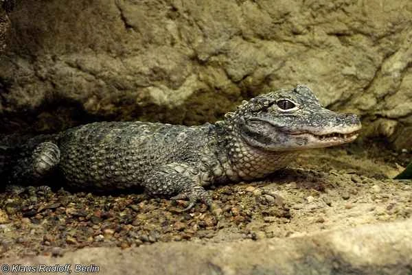 2024020511497684.jpeg 9.jpeg