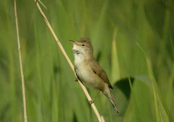 2022122719112421.jpg 3_九雷图片转换器.jpg