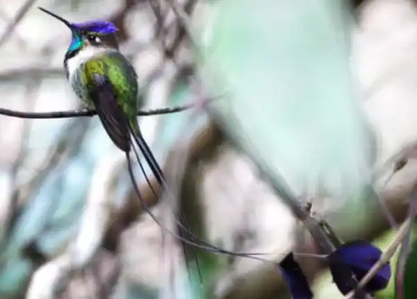 2025091816885341.webp 19.webp