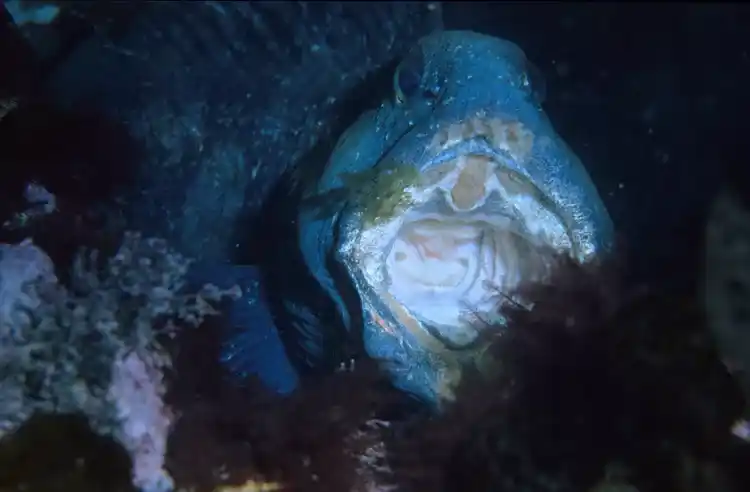 2025053080770740.webp 11.webp