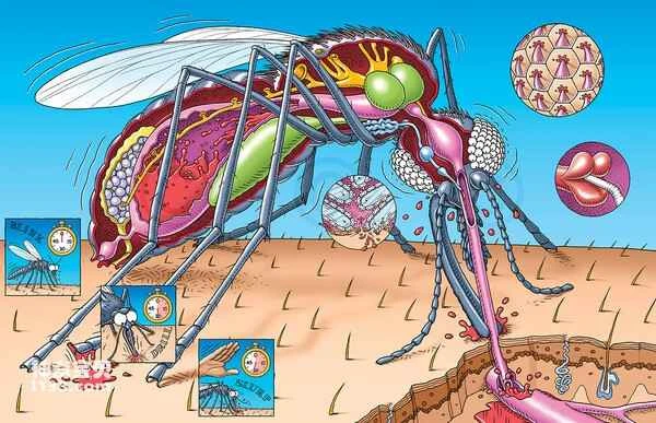 2024042211914202.jpg 5.jpg