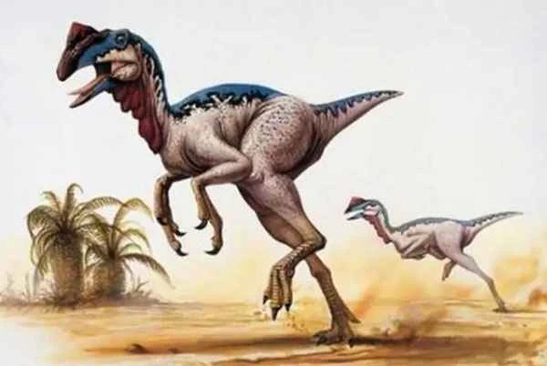 How many of the top ten unsolved mysteries of dinosaurs do you know?