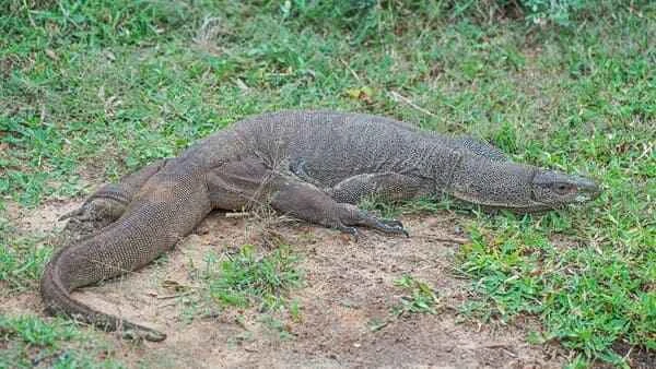 2024010720109790.jpeg 7.jpeg