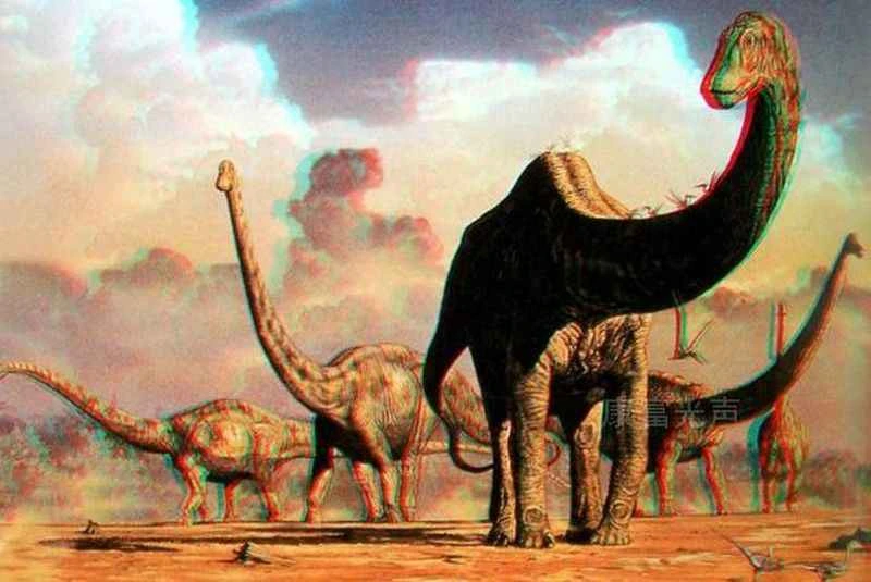 1670220711132693.jpg 6.jpg