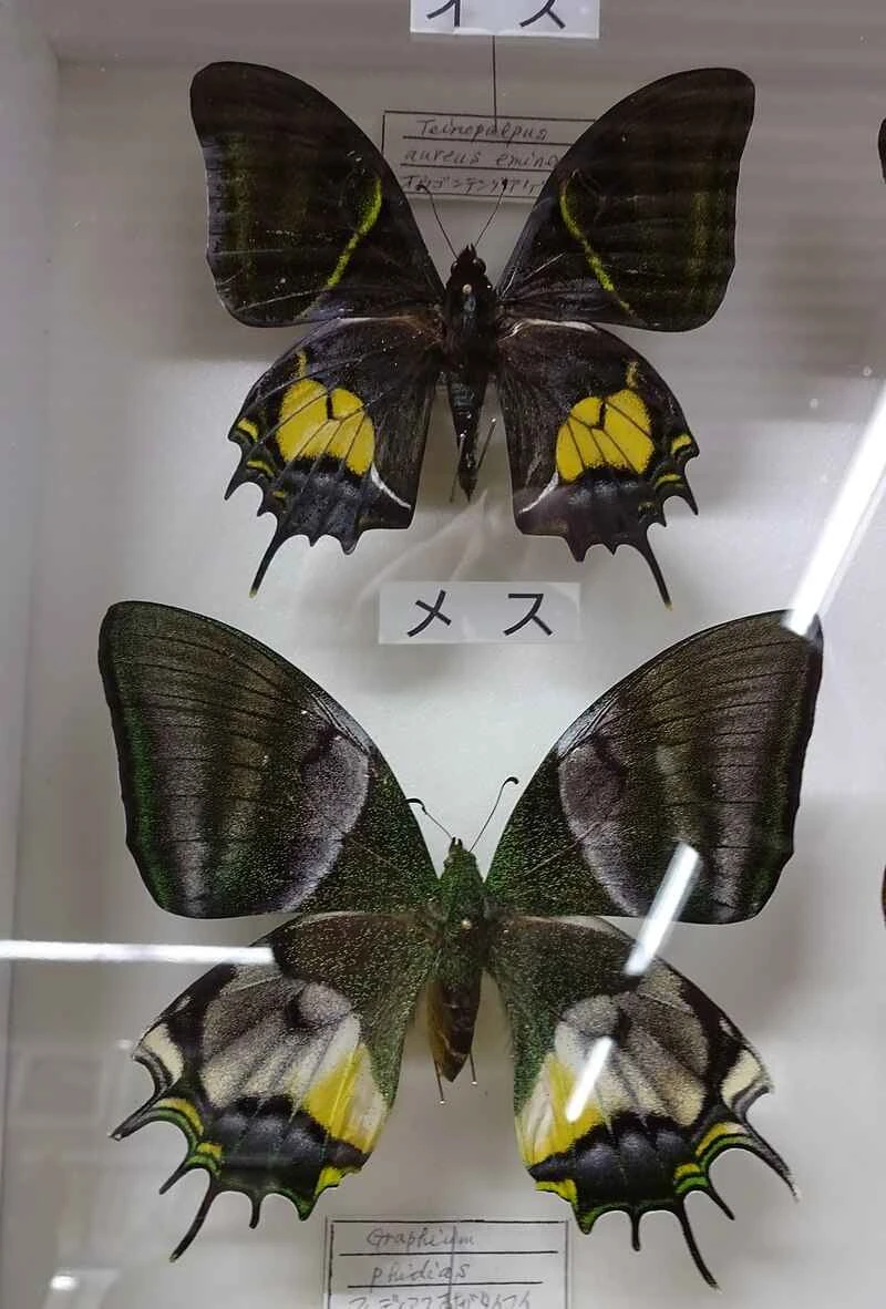 2024110619820320.jpeg 1.jpeg